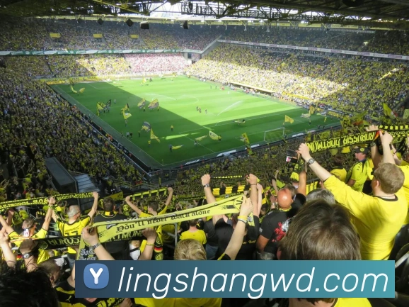 问鼎娱乐平台生态图